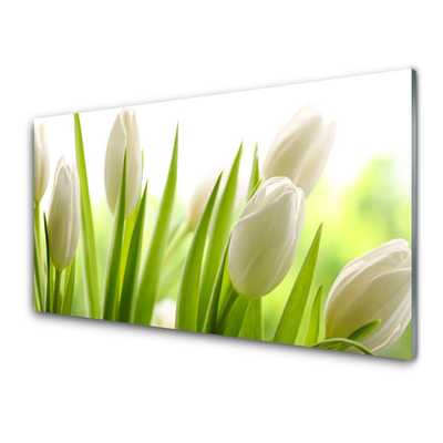 Quadro in vetro acrilico Fiori di tulipani