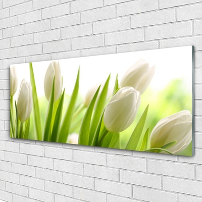 Quadro in vetro acrilico Fiori di tulipani