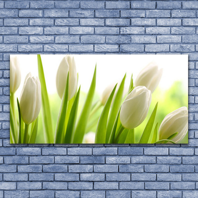 Quadro in vetro acrilico Fiori di tulipani