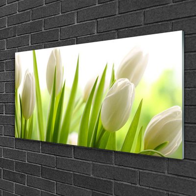 Quadro in vetro acrilico Fiori di tulipani