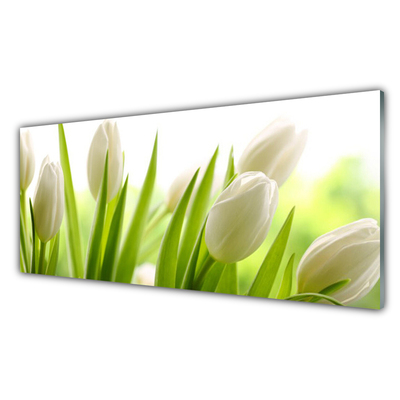 Quadro in vetro acrilico Fiori di tulipani