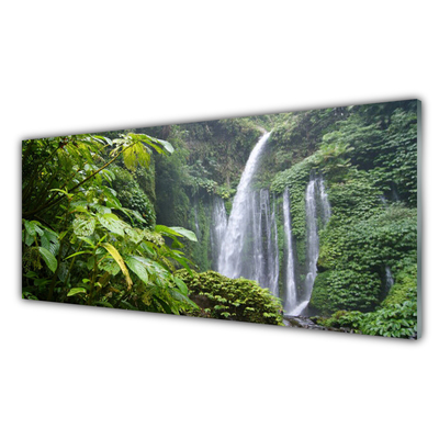 Quadro su vetro acrilico Cascata della natura