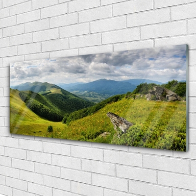 Quadro in vetro acrilico Paesaggio del prato di montagna