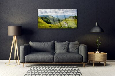 Quadro in vetro acrilico Paesaggio del prato di montagna