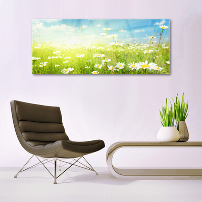 Quadro su vetro acrilico Prato Daisy Natura