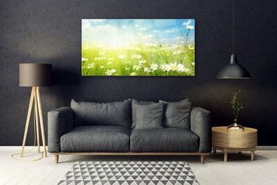 Quadro su vetro acrilico Prato Daisy Natura