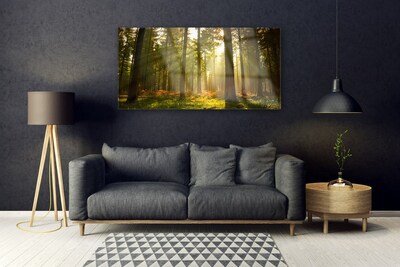 Quadro vetro acrilico Alberi della natura della foresta