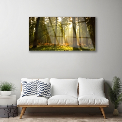 Quadro vetro acrilico Alberi della natura della foresta