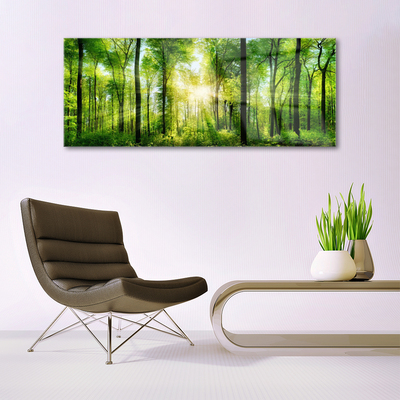 Quadro vetro acrilico Alberi della natura della foresta