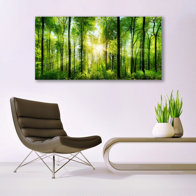 Quadro vetro acrilico Alberi della natura della foresta