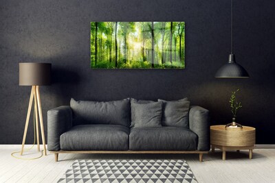 Quadro vetro acrilico Alberi della natura della foresta