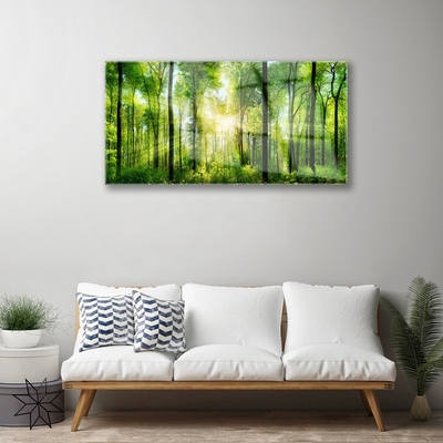 Quadro vetro acrilico Alberi della natura della foresta