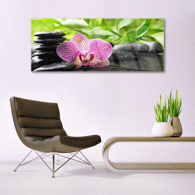 Quadro acrilico Pianta di pietre di fiori