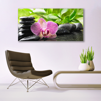 Quadro acrilico Pianta di pietre di fiori