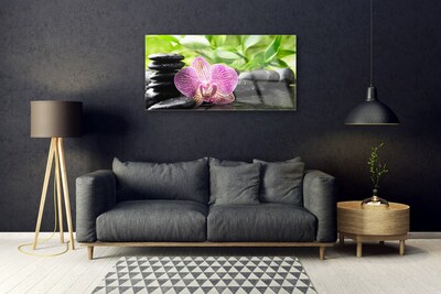 Quadro acrilico Pianta di pietre di fiori