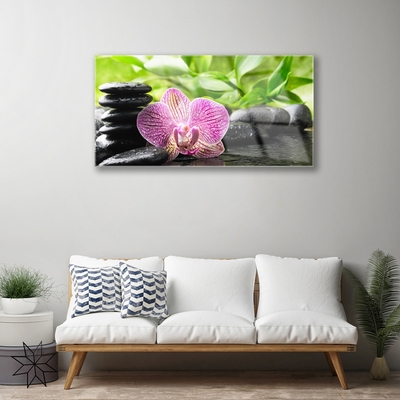 Quadro acrilico Pianta di pietre di fiori