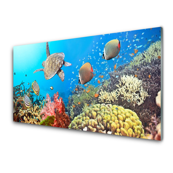 Quadro acrilico Paesaggio della barriera corallina