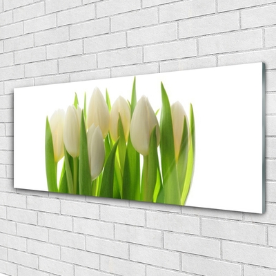 Quadro acrilico Tulipani Pianta Natura