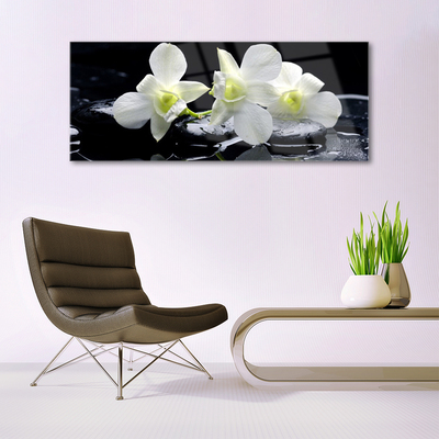 Quadro in vetro acrilico Fiore di orchidea bianca