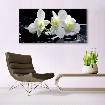 Quadro in vetro acrilico Fiore di orchidea bianca