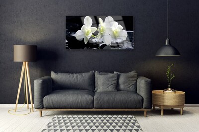 Quadro in vetro acrilico Fiore di orchidea bianca