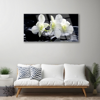 Quadro in vetro acrilico Fiore di orchidea bianca