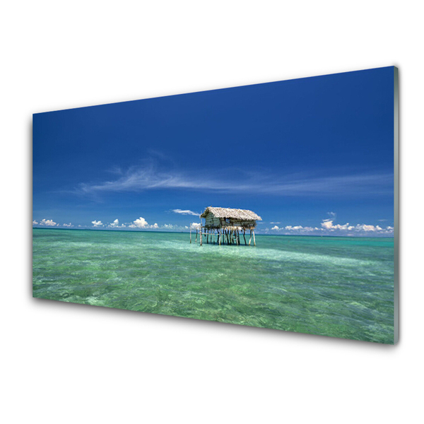 Quadro vetro acrilico Paesaggio marino