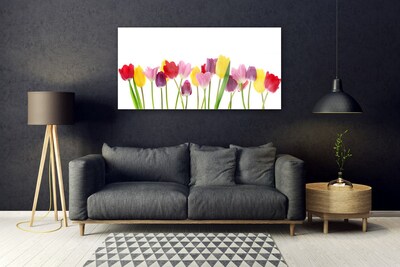 Quadro vetro acrilico Tulipani, fiori, piante