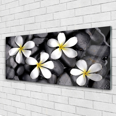 Quadro su vetro acrilico Fiori, piante, natura