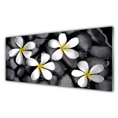 Quadro su vetro acrilico Fiori, piante, natura