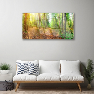 Quadro acrilico Alberi della natura della foresta