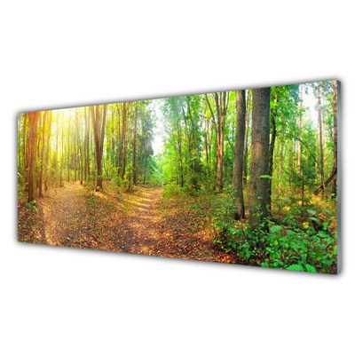 Quadro acrilico Alberi della natura della foresta