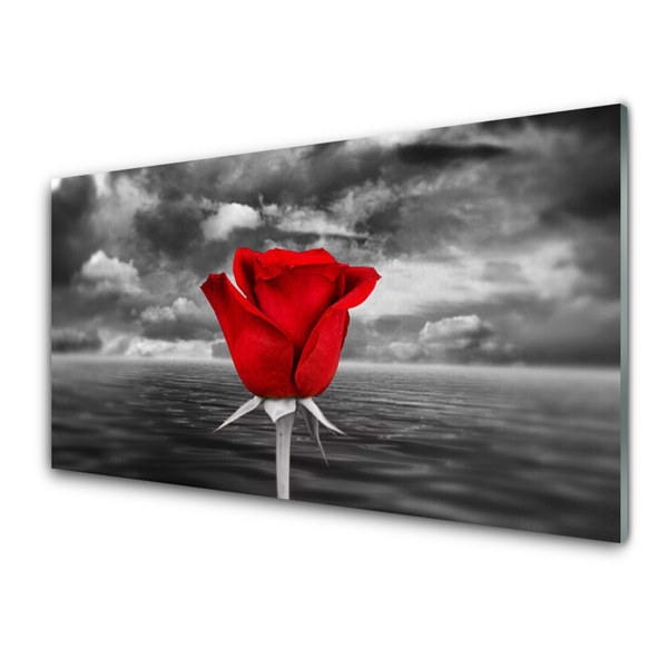Quadro acrilico Rosa. Fiore. Pianta. Mare