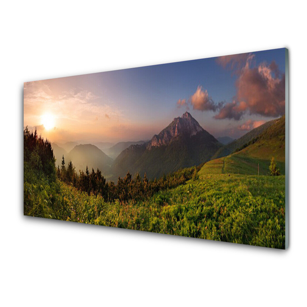 Quadro su vetro acrilico Montagna della foresta della natura