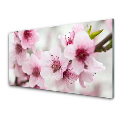 Quadro su vetro acrilico Fiori, piante, natura