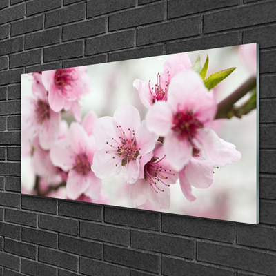 Quadro su vetro acrilico Fiori, piante, natura