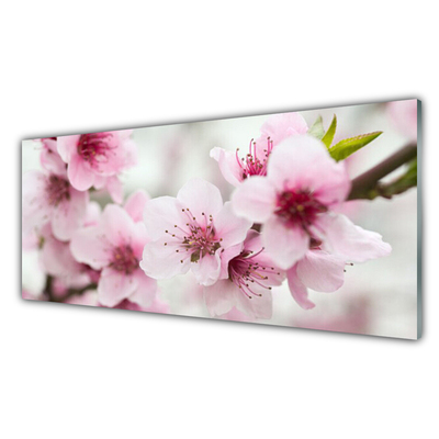 Quadro su vetro acrilico Fiori, piante, natura