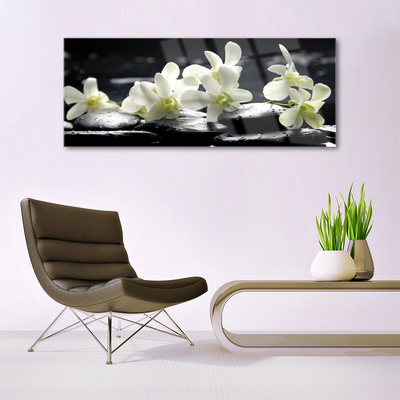 Quadro su vetro acrilico Pianta di pietre di fiori