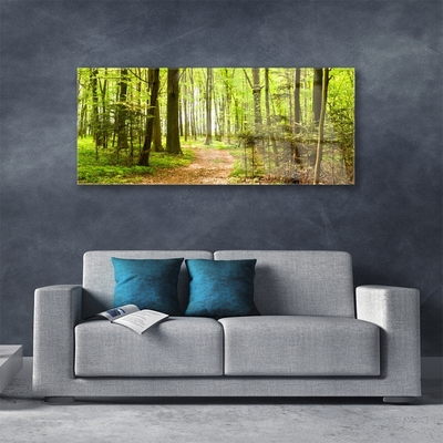 Quadro acrilico Foresta del percorso della natura