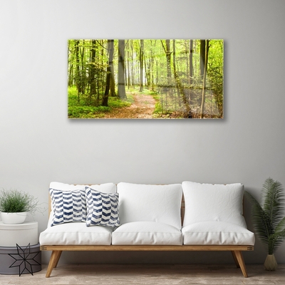 Quadro acrilico Foresta del percorso della natura