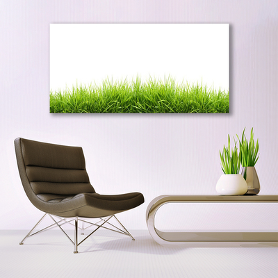 Quadro in vetro acrilico Erba Natura Pianta