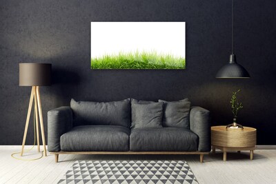 Quadro in vetro acrilico Erba Natura Pianta