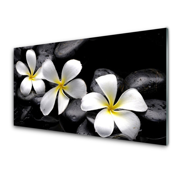 Quadro acrilico Fiore della Pianta Plumeria