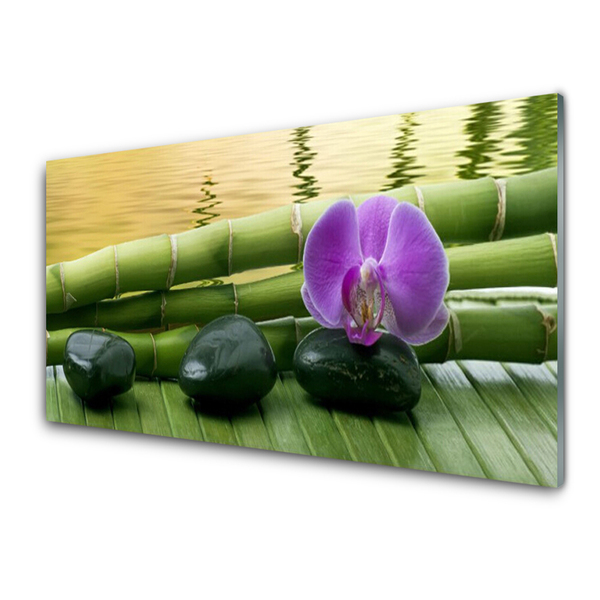 Quadro acrilico Pietre di fiori Natura di bambù