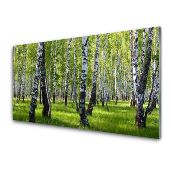 Quadro vetro acrilico Foresta dell'albero della natura