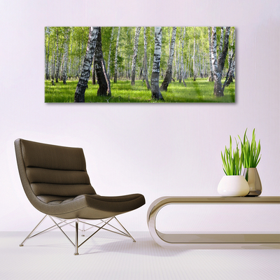 Quadro vetro acrilico Foresta dell'albero della natura