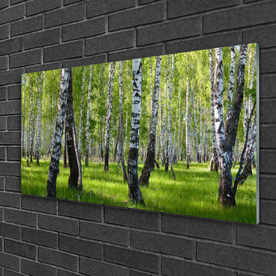 Quadro vetro acrilico Foresta dell'albero della natura