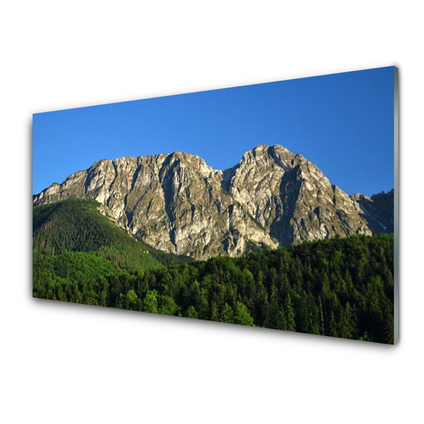 Quadro in vetro acrilico Montagna della foresta della natura