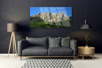 Quadro in vetro acrilico Montagna della foresta della natura