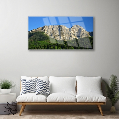 Quadro in vetro acrilico Montagna della foresta della natura